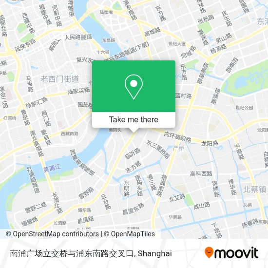 南浦广场立交桥与浦东南路交叉口 map
