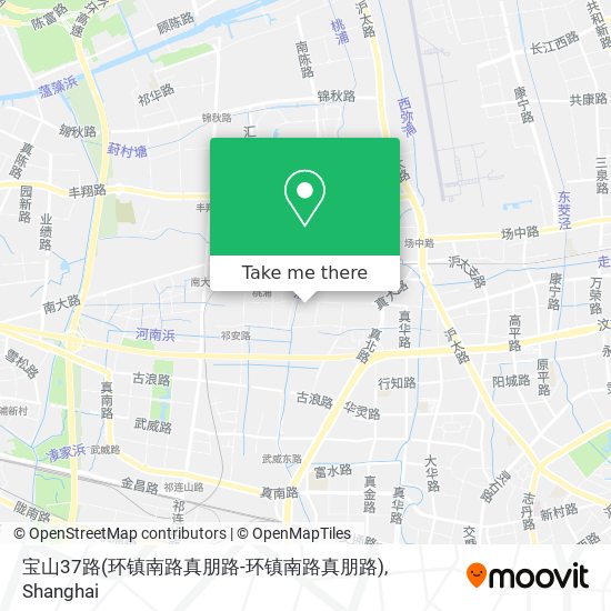 宝山37路(环镇南路真朋路-环镇南路真朋路) map