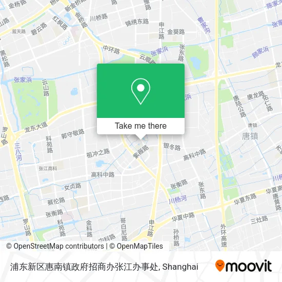浦东新区惠南镇政府招商办张江办事处 map