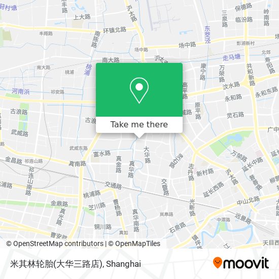 米其林轮胎(大华三路店) map