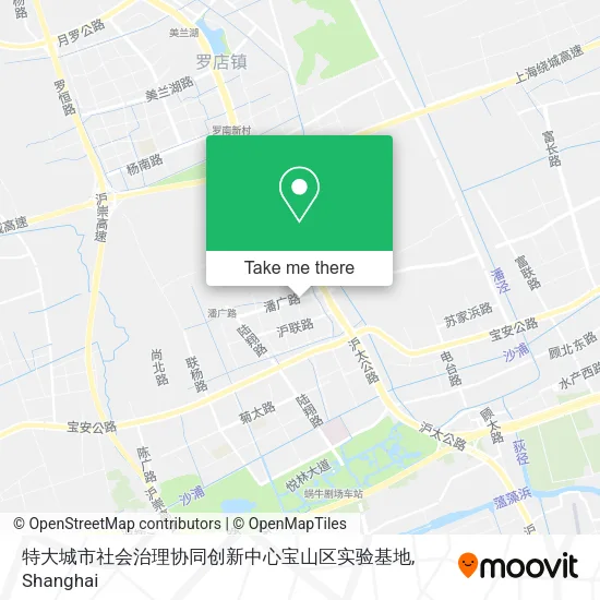 特大城市社会治理协同创新中心宝山区实验基地 map