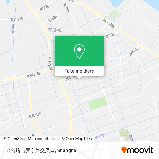金勺路与罗宁路交叉口 map
