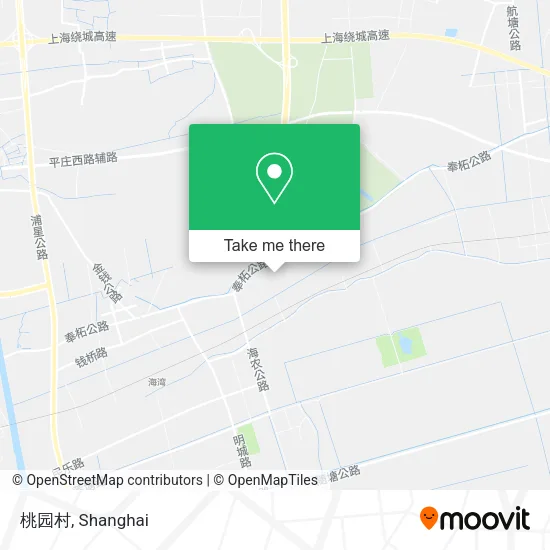 桃园村 map