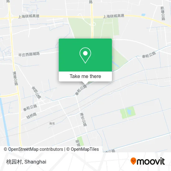 桃园村 map
