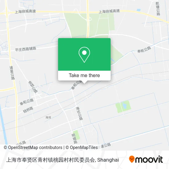 上海市奉贤区青村镇桃园村村民委员会 map