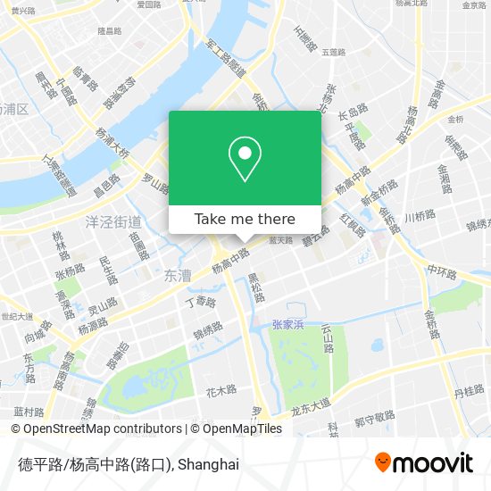 德平路/杨高中路(路口) map
