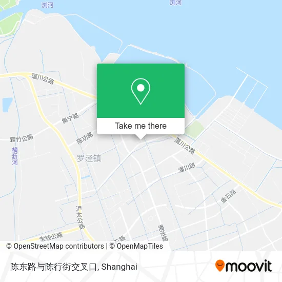 陈东路与陈行街交叉口 map