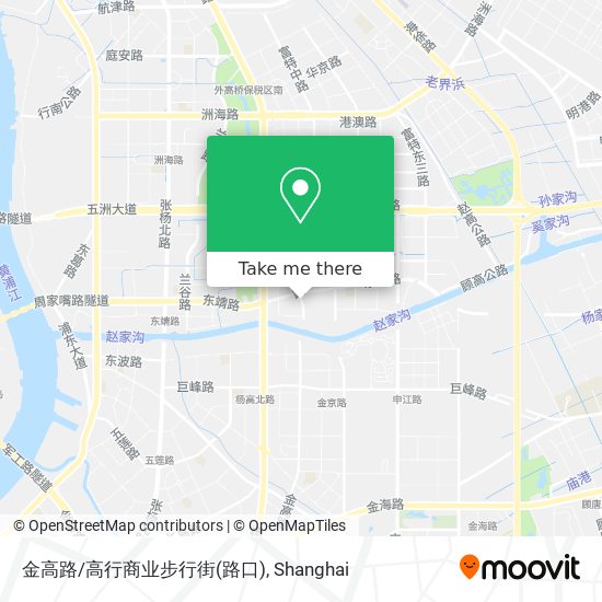 金高路/高行商业步行街(路口) map