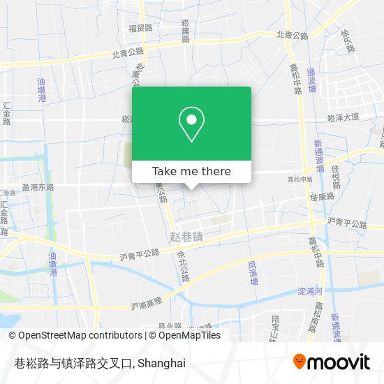巷崧路与镇泽路交叉口 map