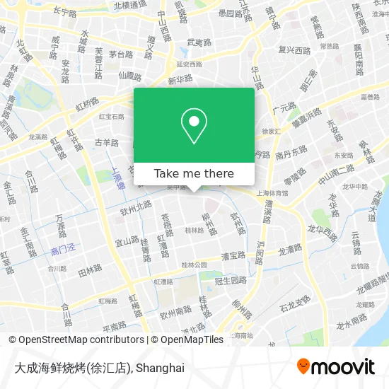 大成海鲜烧烤(徐汇店) map