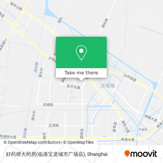 好药师大药房(临港宝龙城市广场店) map