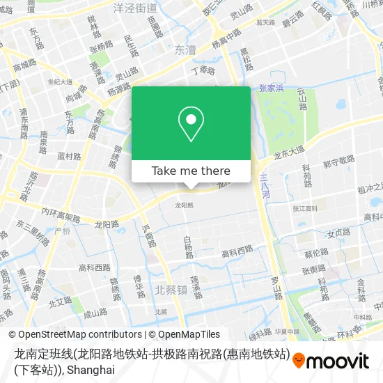 龙南定班线(龙阳路地铁站-拱极路南祝路(惠南地铁站)(下客站)) map