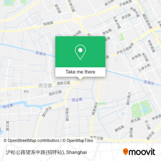 沪松公路望东中路(招呼站) map