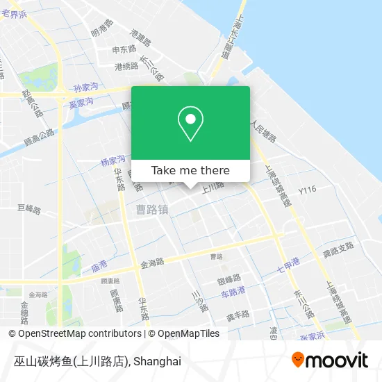 巫山碳烤鱼(上川路店) map