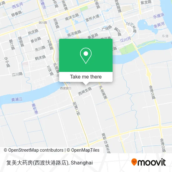 复美大药房(西渡扶港路店) map