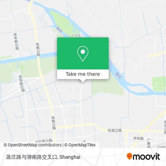 蒸庄路与泖南路交叉口 map