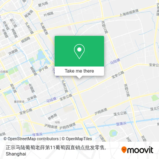 正宗马陆葡萄老薛第11葡萄园直销点批发零售 map