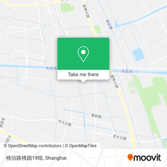 桃信路桃园19组 map
