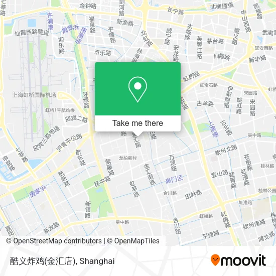 酷义炸鸡(金汇店) map