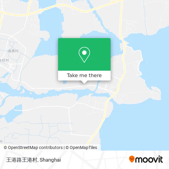 王港路王港村 map