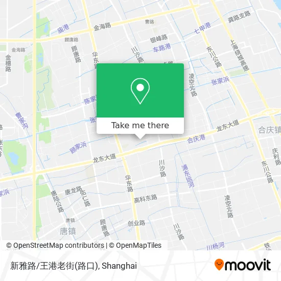 新雅路/王港老街(路口) map