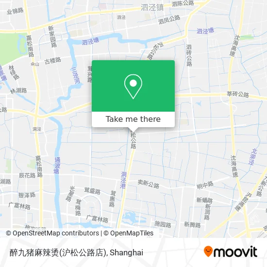 醉九猪麻辣烫(沪松公路店) map