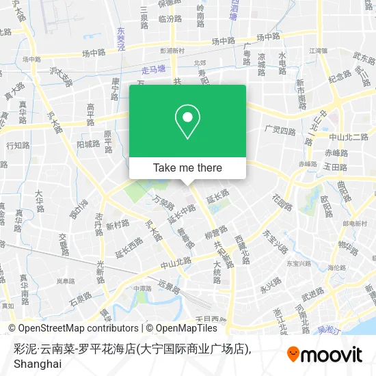 彩泥·云南菜-罗平花海店(大宁国际商业广场店) map