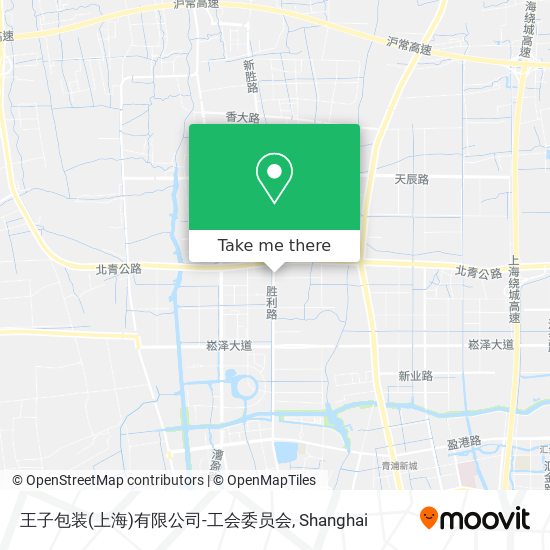 王子包装(上海)有限公司-工会委员会 map