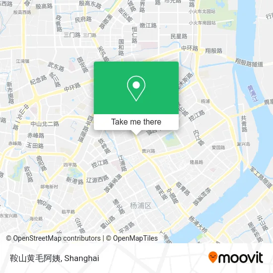 鞍山黄毛阿姨 map