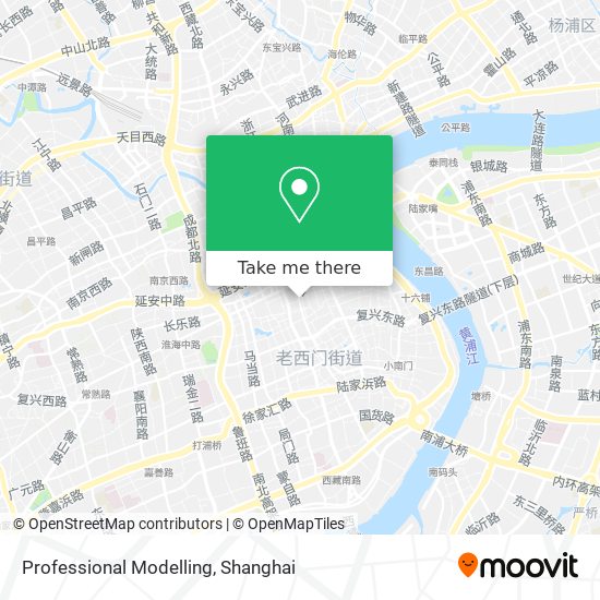 Professional Modelling map
