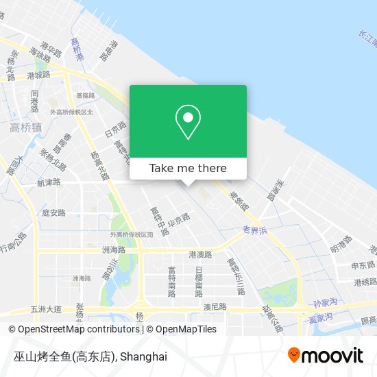 巫山烤全鱼(高东店) map