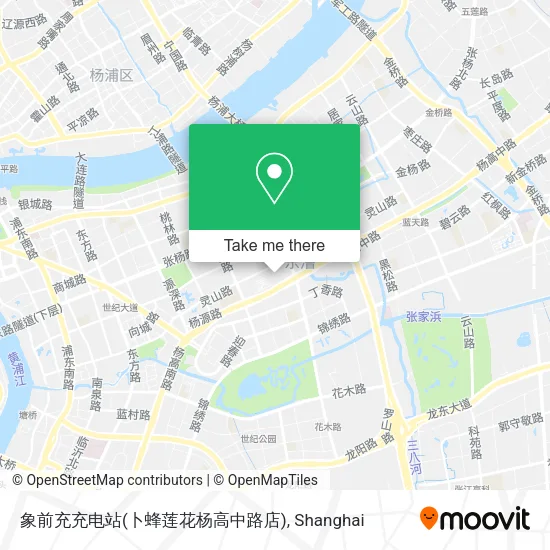 象前充充电站(卜蜂莲花杨高中路店) map