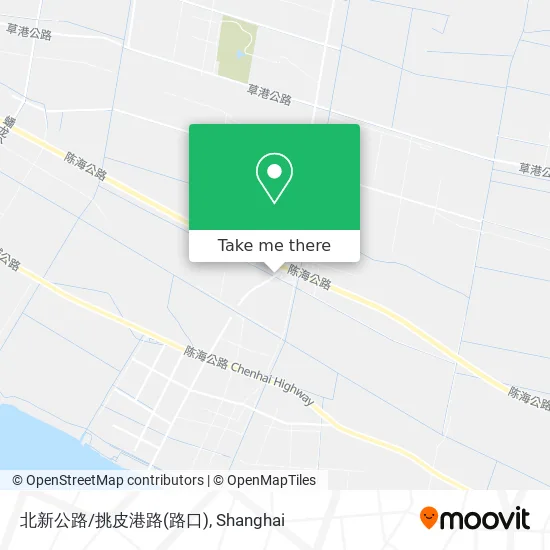 北新公路/挑皮港路(路口) map