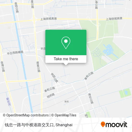 钱忠一路与中横港路交叉口 map