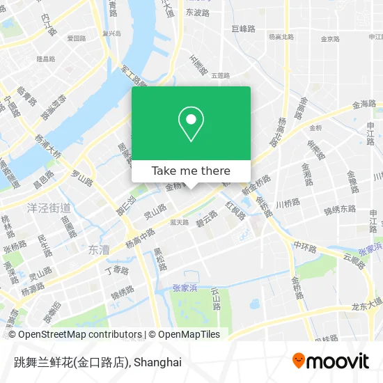 跳舞兰鲜花(金口路店) map