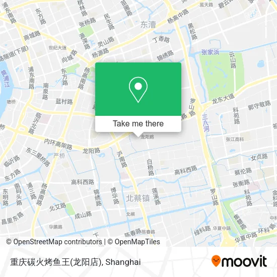 重庆碳火烤鱼王(龙阳店) map