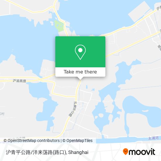 沪青平公路/洋来荡路(路口) map