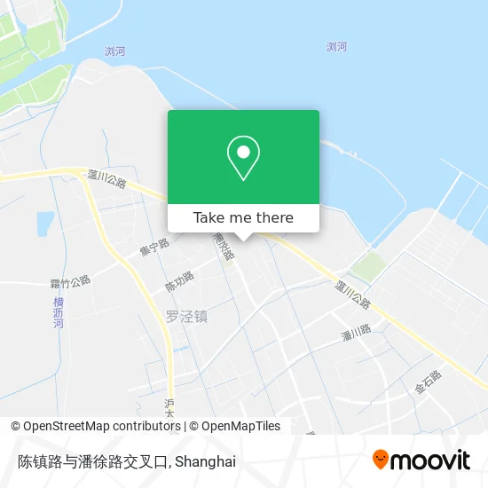 陈镇路与潘徐路交叉口 map