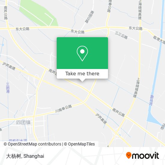 大杨树 map