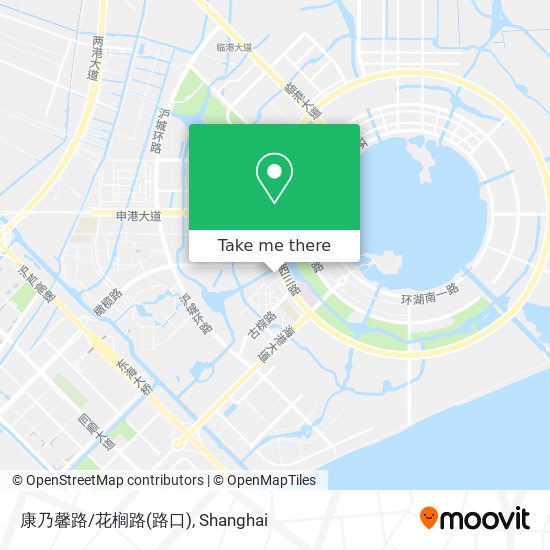 康乃馨路/花榈路(路口) map