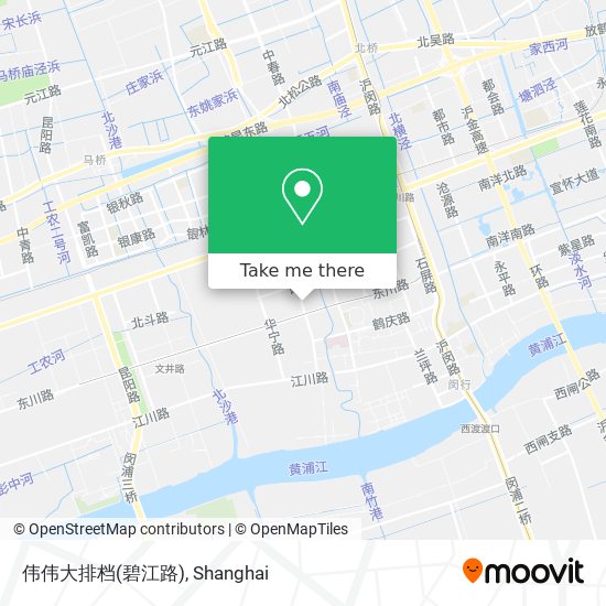 伟伟大排档(碧江路) map