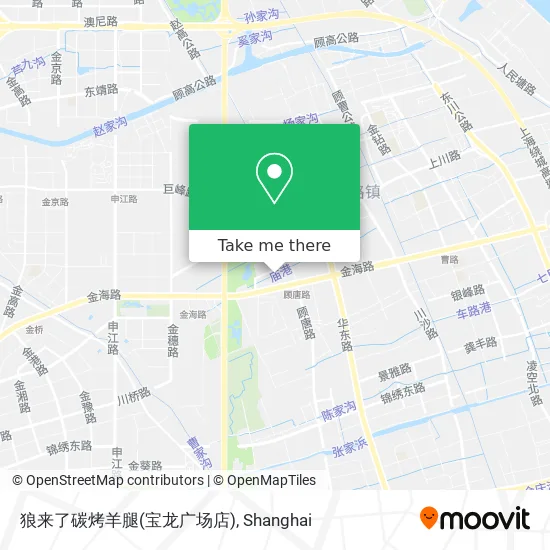 狼来了碳烤羊腿(宝龙广场店) map