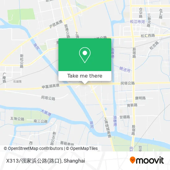 X313/强家浜公路(路口) map