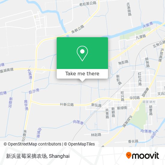 新浜蓝莓采摘农场 map