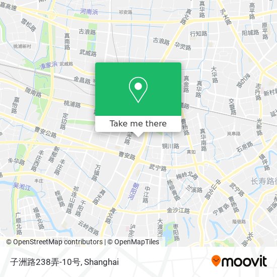 子洲路238弄-10号 map