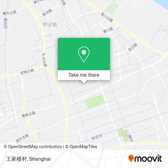 王家楼村 map