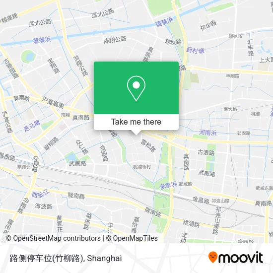 路侧停车位(竹柳路) map