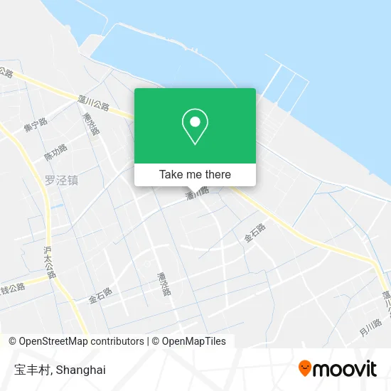 宝丰村 map