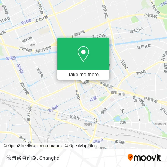 德园路真南路 map