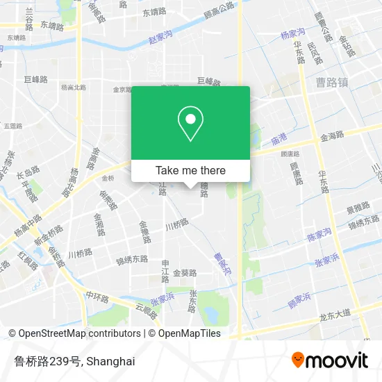 鲁桥路239号 map